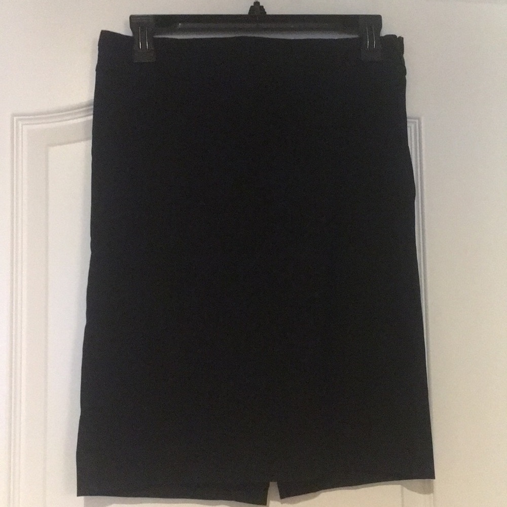 The Limited skirt